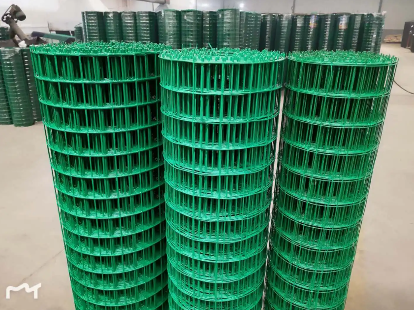 广平荷兰网
